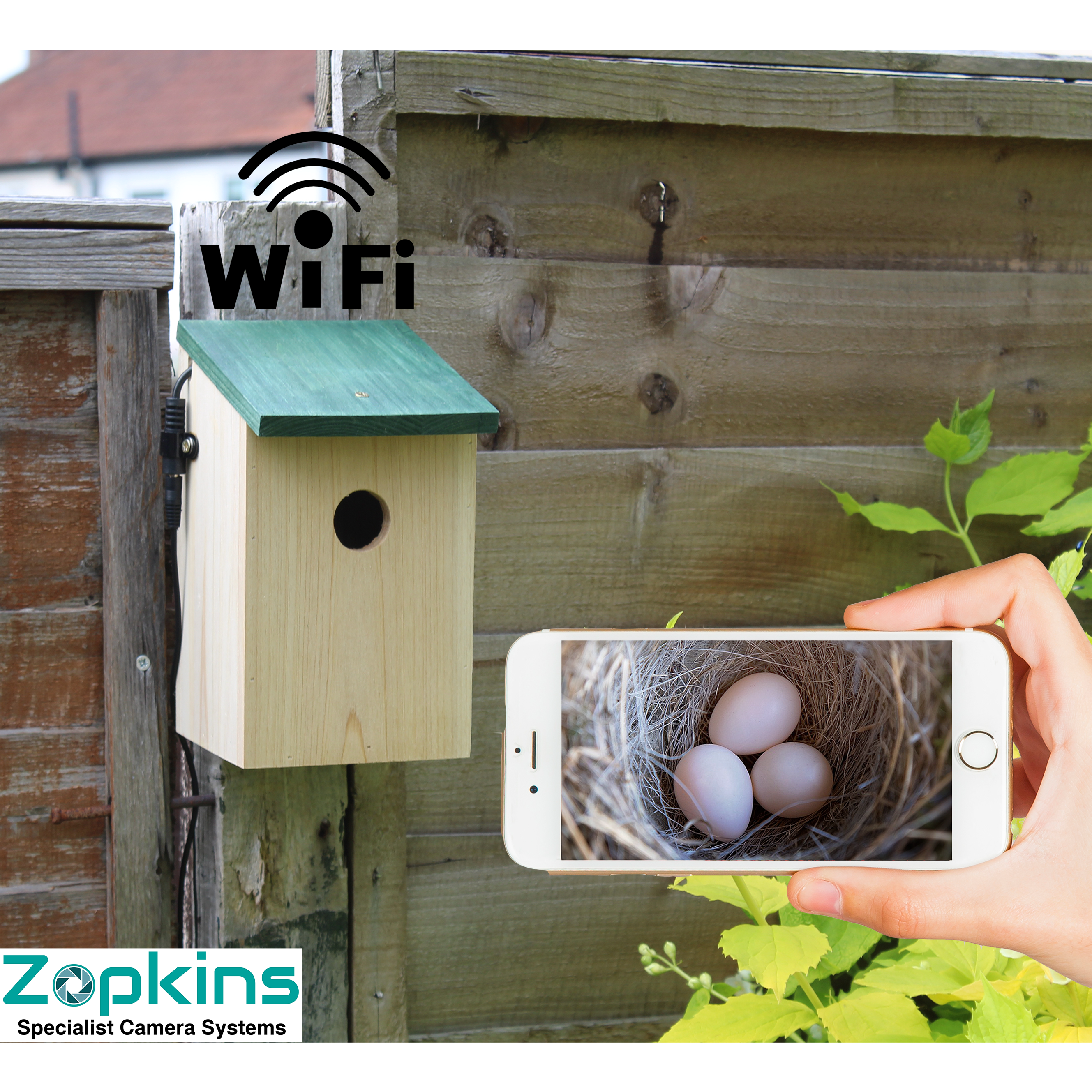 Bird And Wildlife Cameras
